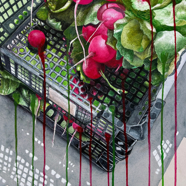 Radieschen brauchen viel Wasser 2025, Aquarell, 80 x 60 cm