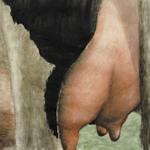 Ohne Titel, 2005, Aquarell, 40 x 600 cm